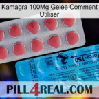Kamagra 100Mg Gelée Comment Utiliser new14